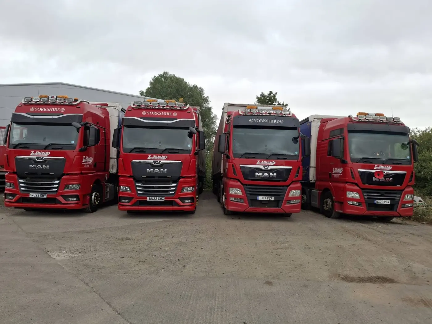 Four red MAN tractor units lined up at the T Shields Transport yard